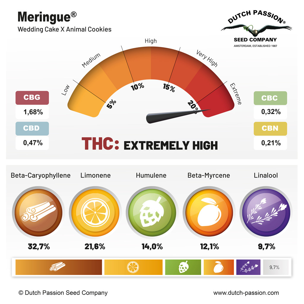 Meringue terpenes and cannabinoids